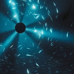 Laurel Halo - Midnight Zone - Original Soundtrack  LP LP